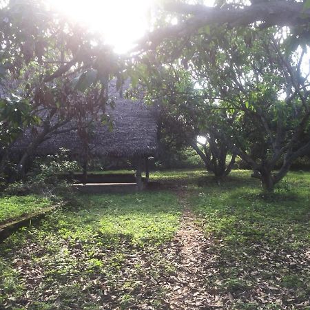 Art Forest Hotel Auroville Esterno foto