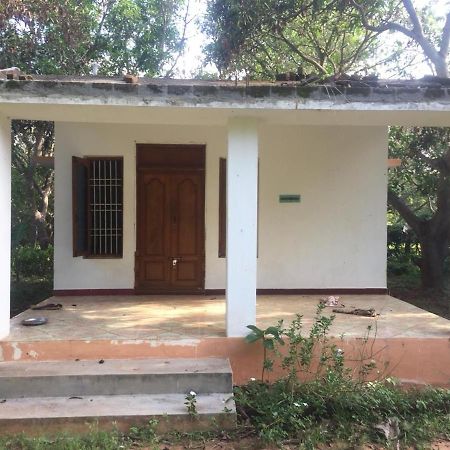 Art Forest Hotel Auroville Esterno foto