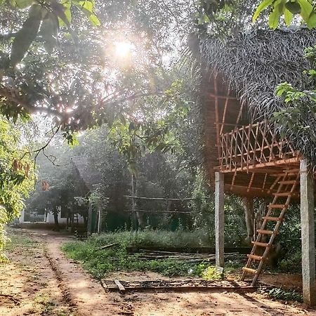 Art Forest Hotel Auroville Esterno foto