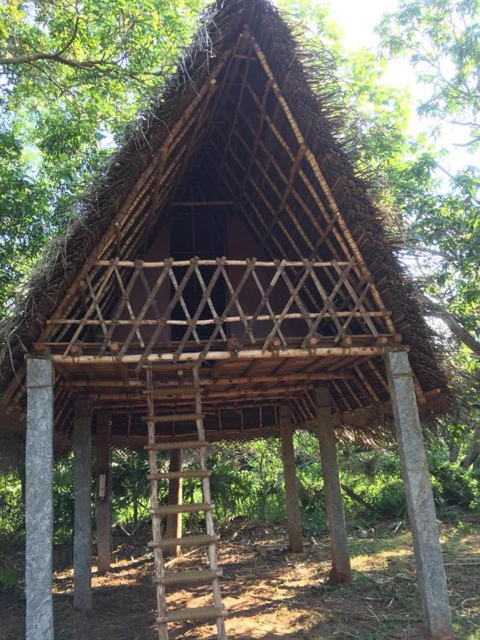 Art Forest Hotel Auroville Esterno foto