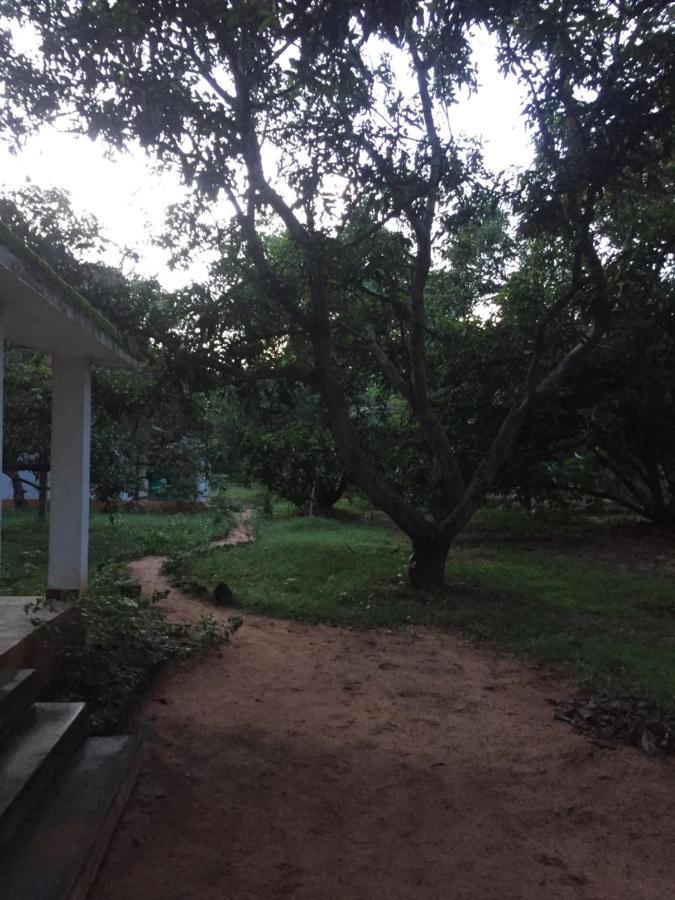 Art Forest Hotel Auroville Esterno foto
