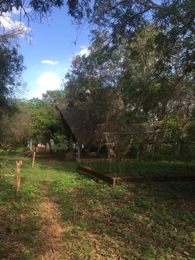 Art Forest Hotel Auroville Esterno foto