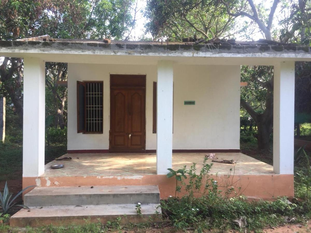 Art Forest Hotel Auroville Esterno foto