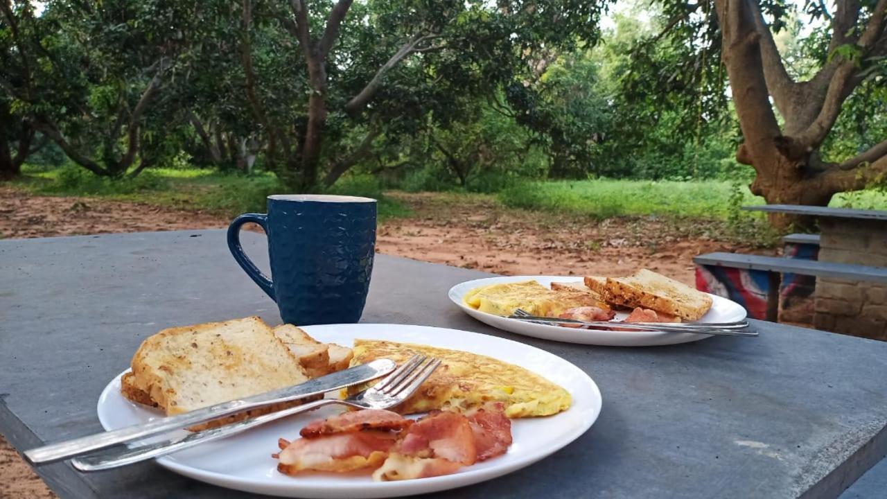 Art Forest Hotel Auroville Esterno foto