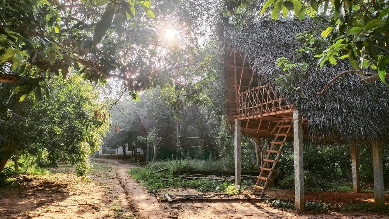 Art Forest Hotel Auroville Esterno foto